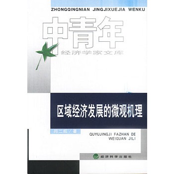 区域经济发展的微观机理