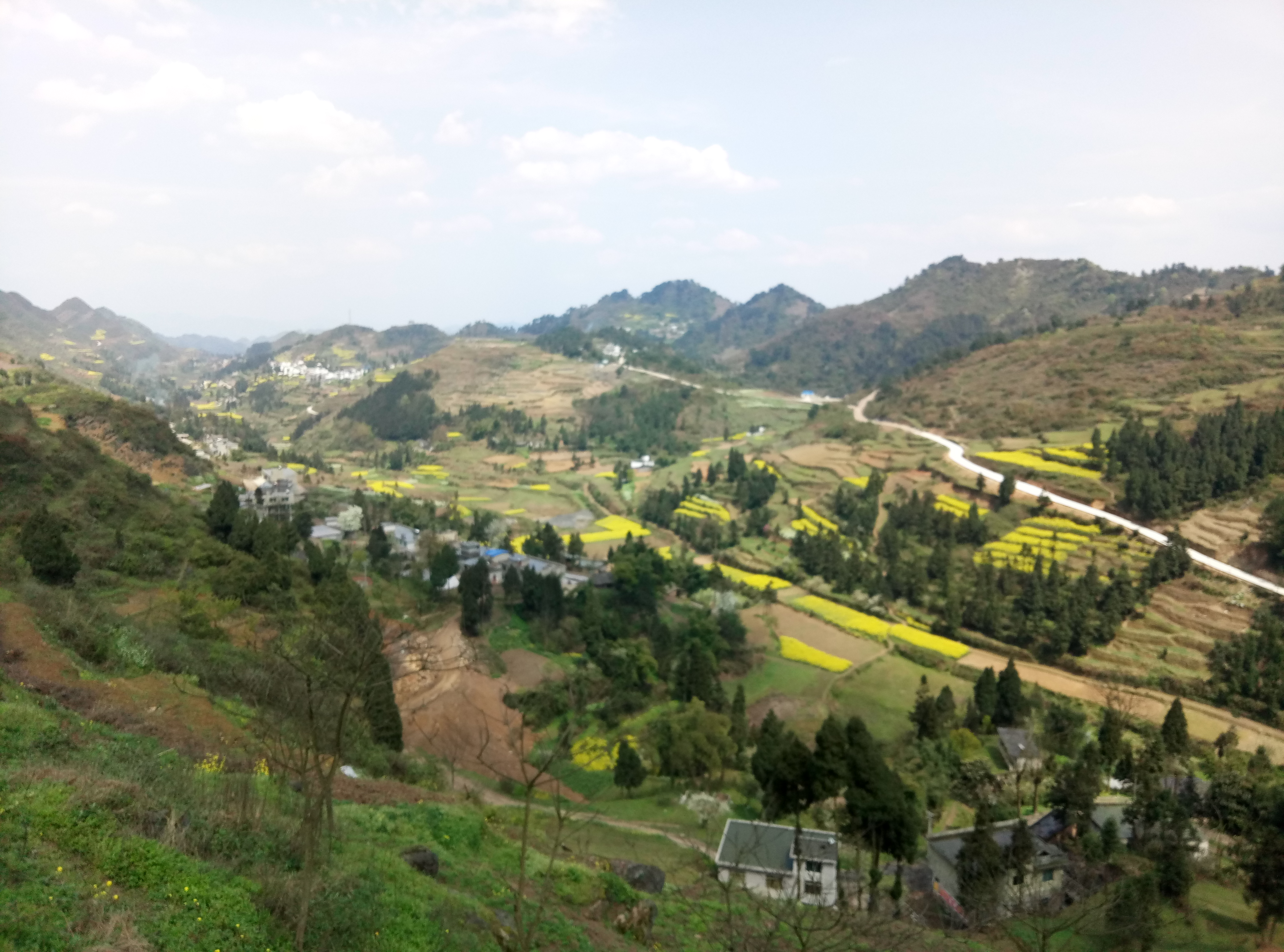 土城镇金鸡寺