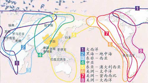 全球候鸟迁徙路线(引自湿地国际,2006) 全球候鸟迁徙路线(引自湿地国际,2006)