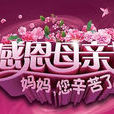 母亲节送给妈妈的爱