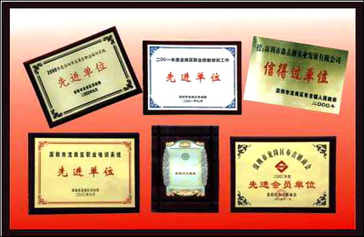 深圳市森鑫源职业培训学校荣誉证书 深圳市森鑫源职业培训学校荣誉证书