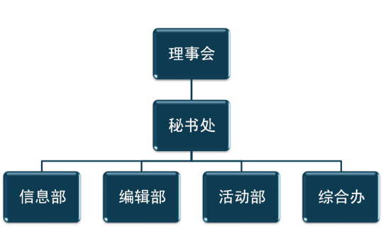 组织架构示意图 组织架构示意图