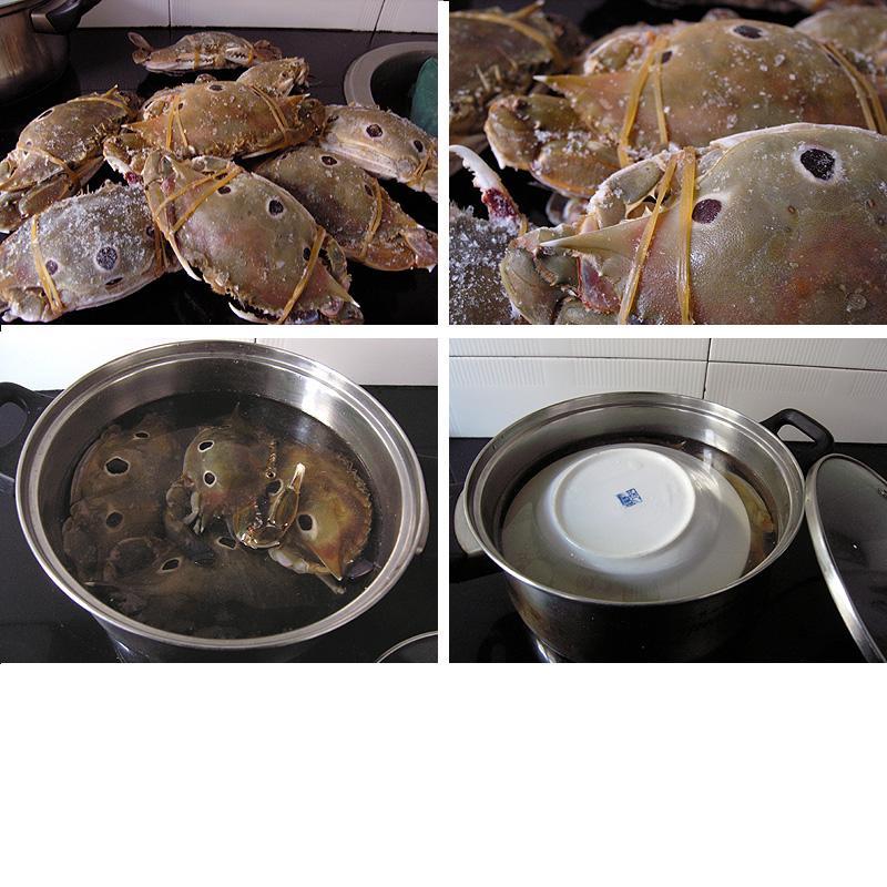 宁波红膏呛蟹