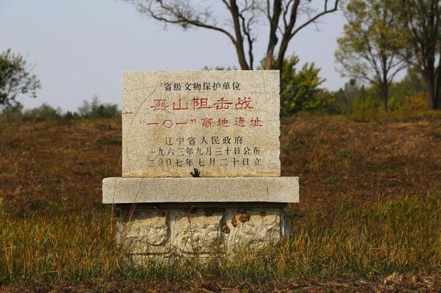 黑山阻击战(解放战争着名战役)