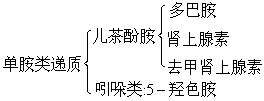 下丘脑-垂体系统 下丘脑-垂体系统