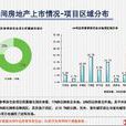 市场分析报告