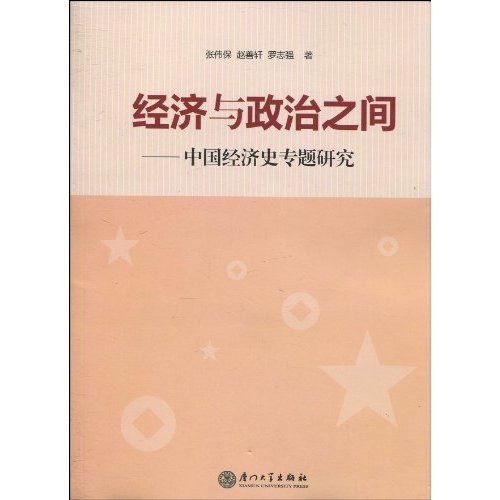 经济与政治之间：中国经济史专题研究