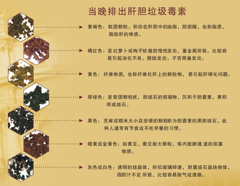 五脏排毒 五脏排毒