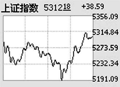 中国神华能源股份有限公司 中国神华能源股份有限公司