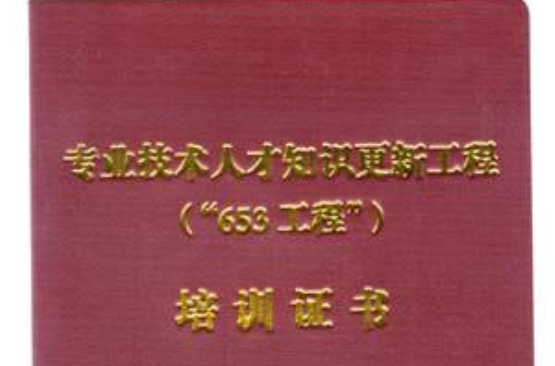 653工程