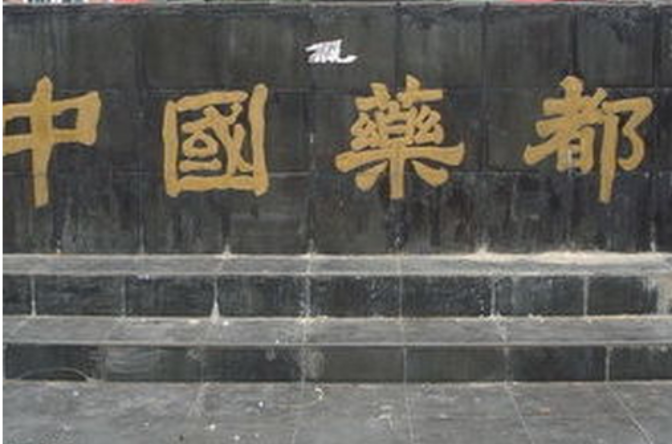 药都(中国药都)