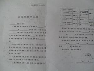 样本 样本