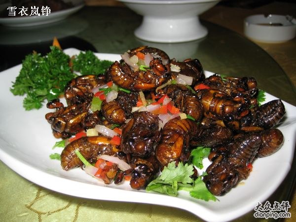 椒盐金蝉