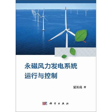 永磁风力发电系统运行与控制