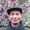 朱英(近现代革命人物)