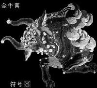 金牛宫 金牛宫