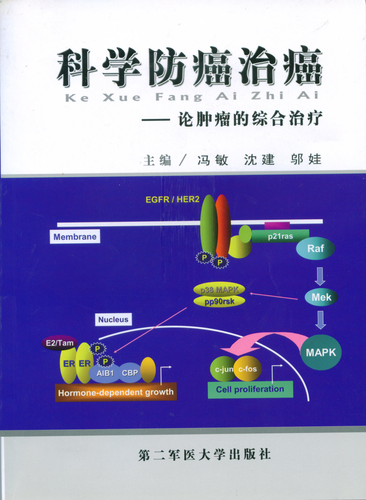 科学防癌治癌——论肿瘤的综合治疗