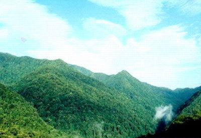 泾渭湿地保护区 泾渭湿地保护区