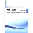 社会资本：中国经济转型与发展的新视角