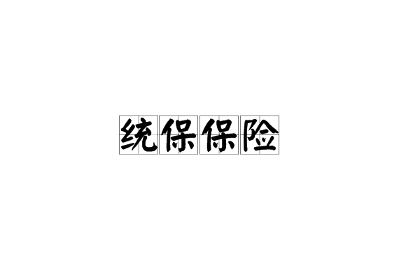 统保保险