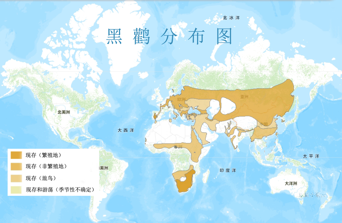 黑鹳分布图 黑鹳分布图