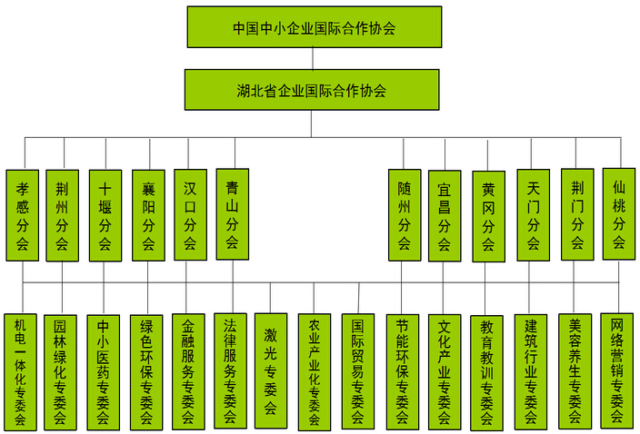 湖北省企业国际合作协会 湖北省企业国际合作协会
