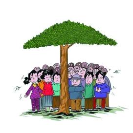 社会政策 社会政策