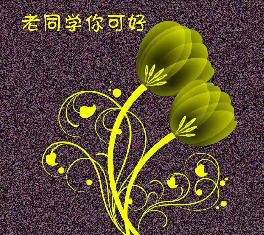 老同学你可好