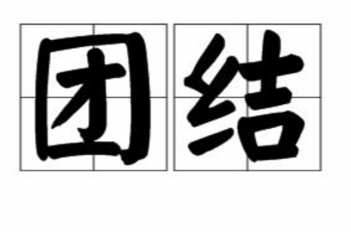 团结(汉语词语)