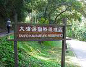 大埔滘自然护理区 大埔滘自然护理区