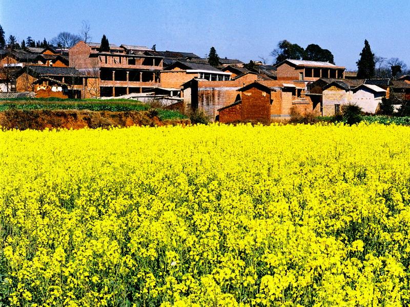 新坝村(云南省红河州泸西县金马镇新坝村)
