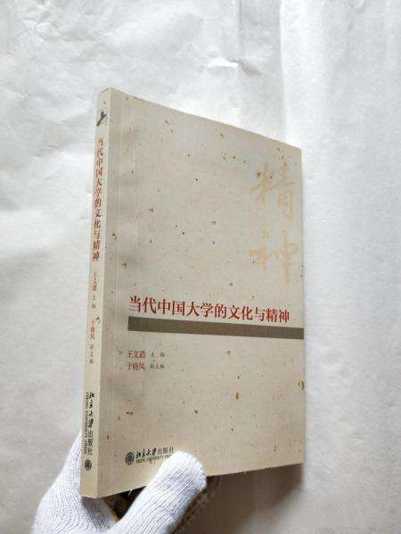 当代中国大学的文化与精神