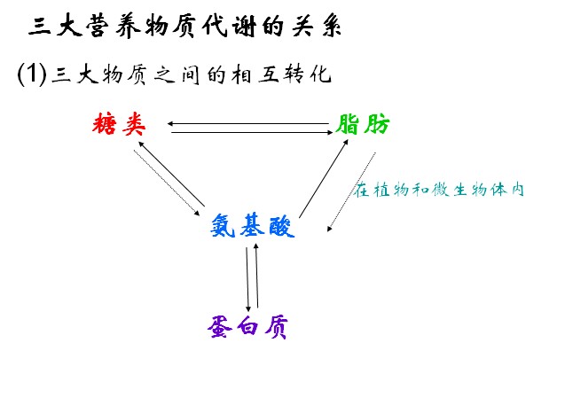 相互转化 相互转化