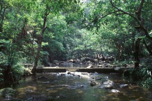 淡水动物栖息地 淡水动物栖息地
