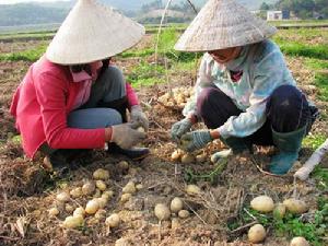江山乡 江山乡
