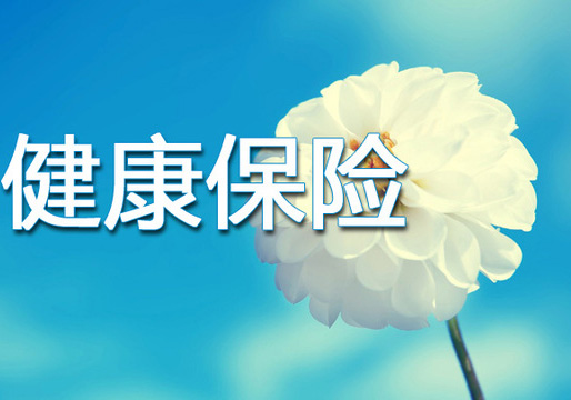健康险