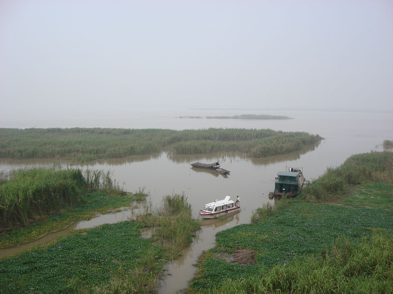 南洞庭湖湿地和水鸟保护区 南洞庭湖湿地和水鸟保护区