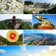 苍溪县(苍溪)