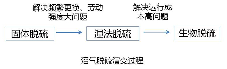 沼气生物脱硫 沼气生物脱硫