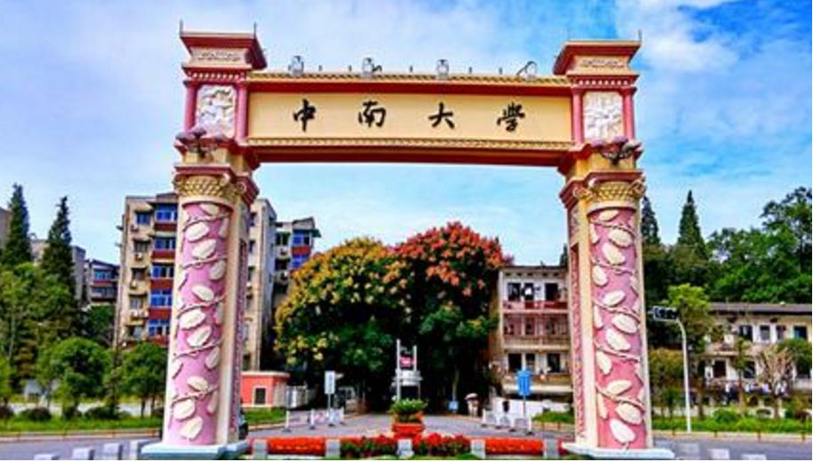 中南大学 中南大学