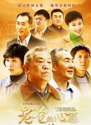 丁柳元