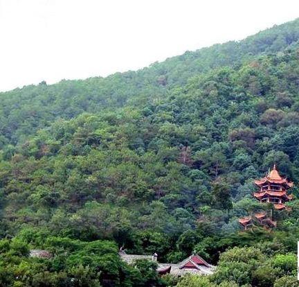 悟道佳山