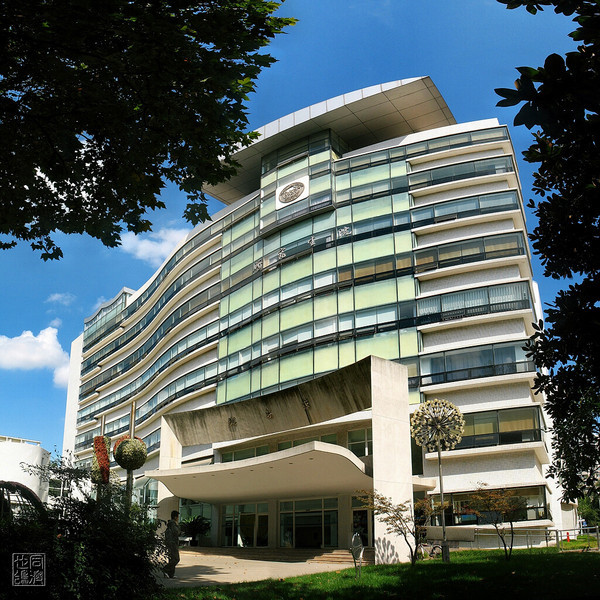 同济大学 同济大学