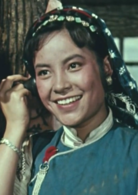 五朵金花(1959年王家乙执导电影)