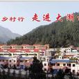 大湖村(河南省灵宝市阳平镇大湖村)