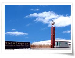 河北天成药业有限公司 河北天成药业有限公司