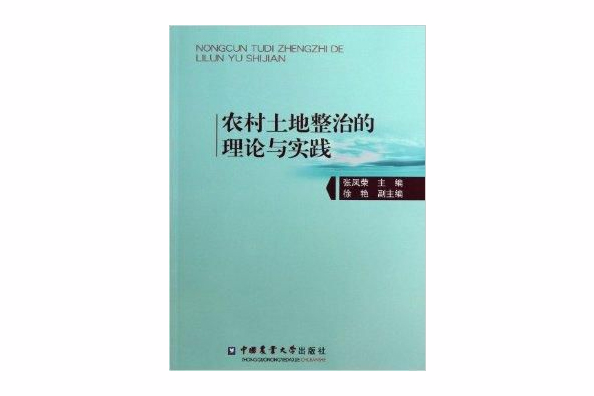农村土地整治的理论与实践