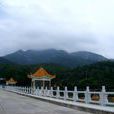 金台寺(广东省珠海市寺庙)