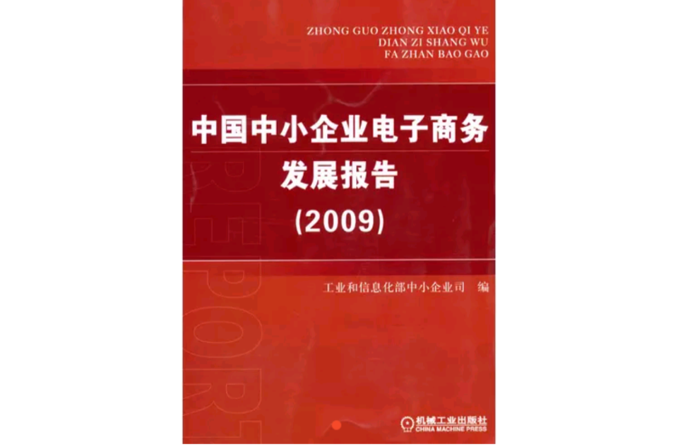 中国中小企业电子商务发展报告