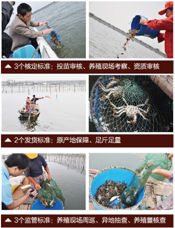 中国阳澄湖大闸蟹网 中国阳澄湖大闸蟹网